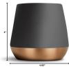 imageFellow Joey Double Wall Ceramic Coffee Mug  Refined and Sophisticated Matte White Single 8 oz CupMatte Black