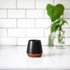 imageFellow Joey Double Wall Ceramic Coffee Mug  Refined and Sophisticated Matte White Single 8 oz CupMatte Black