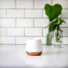 imageFellow Joey Double Wall Ceramic Coffee Mug  Refined and Sophisticated Matte White Single 8 oz CupMatte White