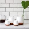 imageFellow Joey Double Wall Ceramic Coffee Mug  Refined and Sophisticated Matte White Single 8 oz CupMatte White