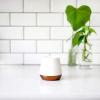 imageFellow Joey Double Wall Ceramic Coffee Mug  Refined and Sophisticated Matte White Single 8 oz CupMatte White