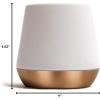 imageFellow Joey Double Wall Ceramic Coffee Mug  Refined and Sophisticated Matte White Single 8 oz CupMatte White