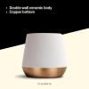 imageFellow Joey Double Wall Ceramic Coffee Mug  Refined and Sophisticated Matte White Single 8 oz CupMatte White