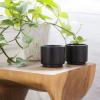 imageFellow Monty Milk Art Cups  Double Wall Ceramic Latte Mug Matte Black with Graphite Base 11 oz CupMatte Black