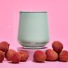 imageFellow Ruby Wine Tumbler Set of 2  Insulated Stainless Steel Wine and Cocktail Tumblers with Ceramic Interior and Swivel Pebble Lid  12 oz Mint ChipMint Chip  Pack of 2